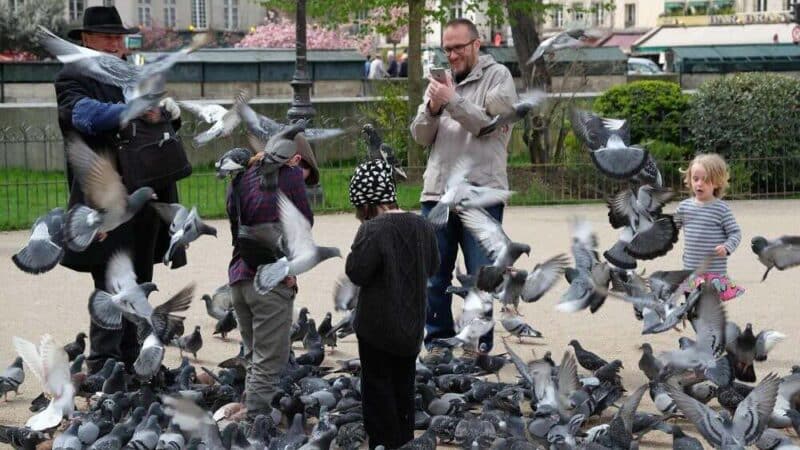 Rodzinne rytuały w kulturze europejskiej: Tradycja, która łączy pokolenia