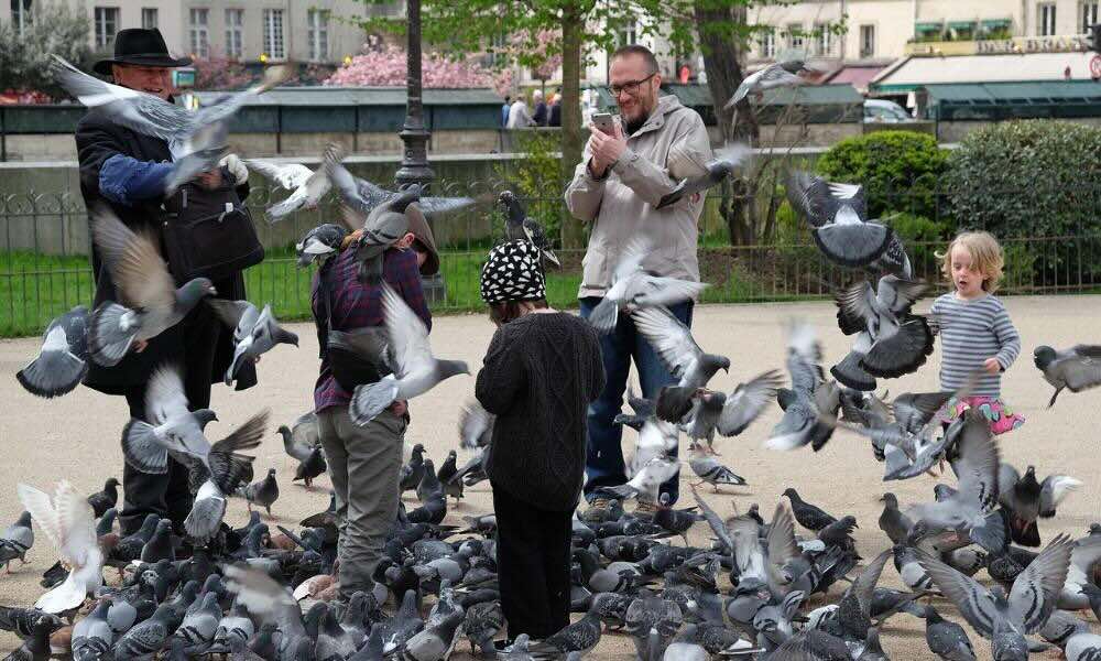 Rodzinne rytuały w kulturze europejskiej: Tradycja, która łączy pokolenia